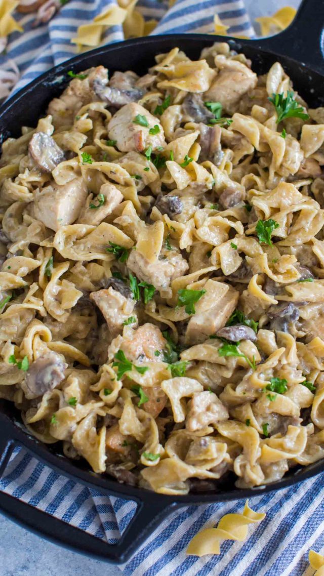 The Ultimate Chicken Stroganoff 1608