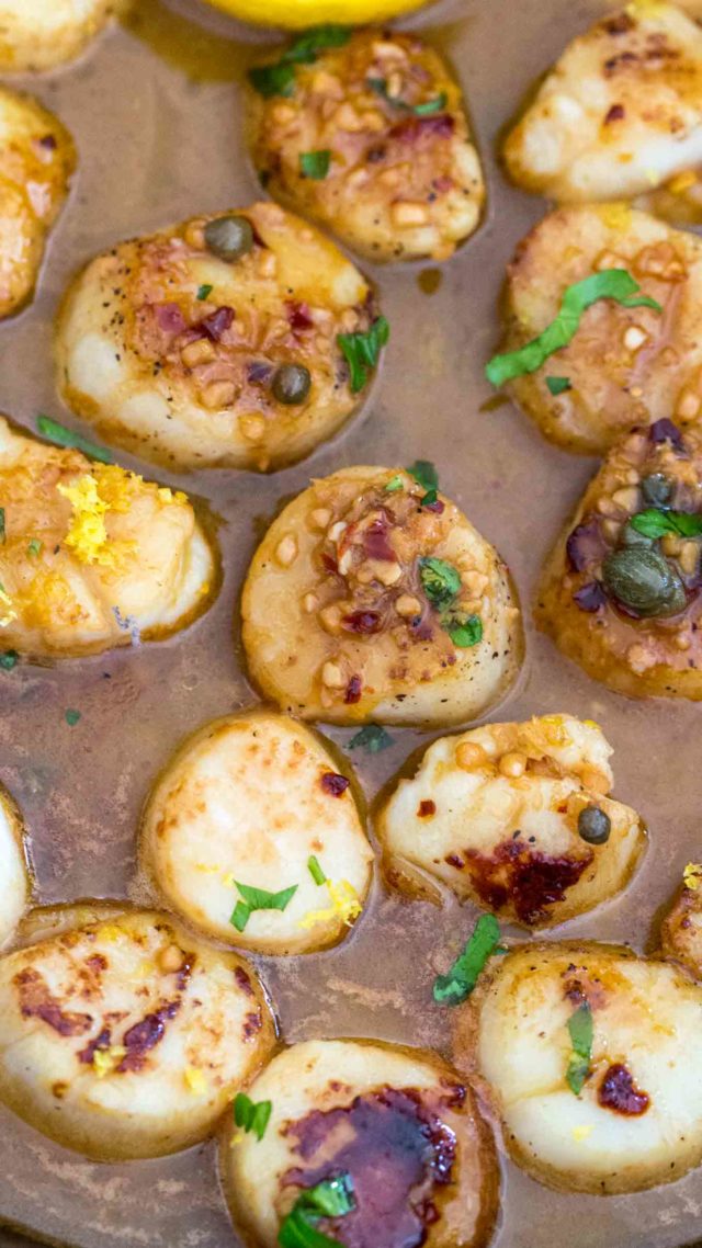 Lemon Garlic Scallops Recipe- 30 minutes meals