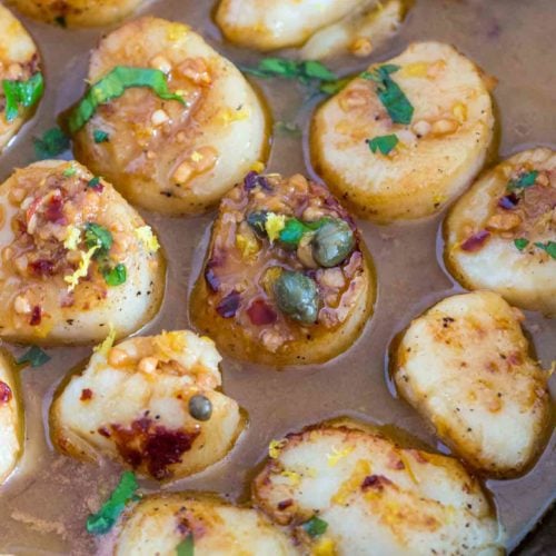 Lemon Garlic Scallops Recipe- 30 minutes meals