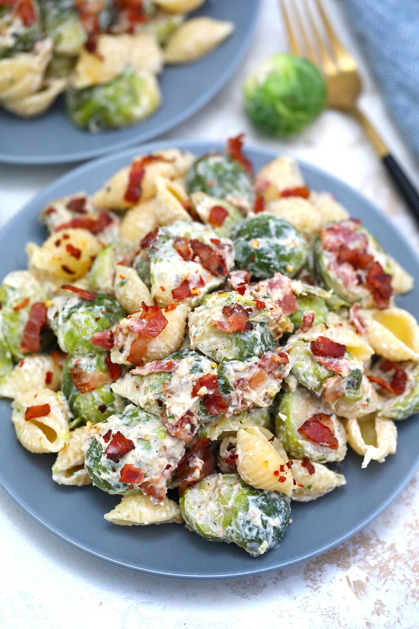 Brussels Sprouts in Alfredo Sauce Pasta 30 minutes meals
