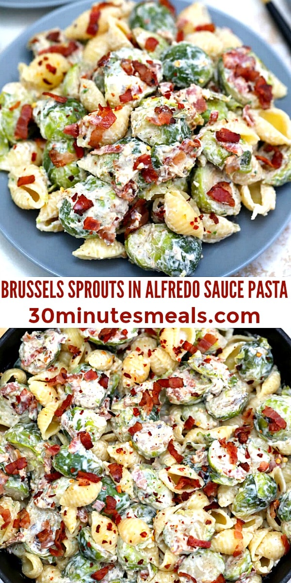 Easy Brussels Sprouts in Alfredo Sauce Pasta pin