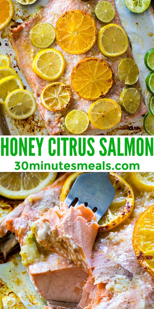 Photo of Honey Citrus Salmon pin