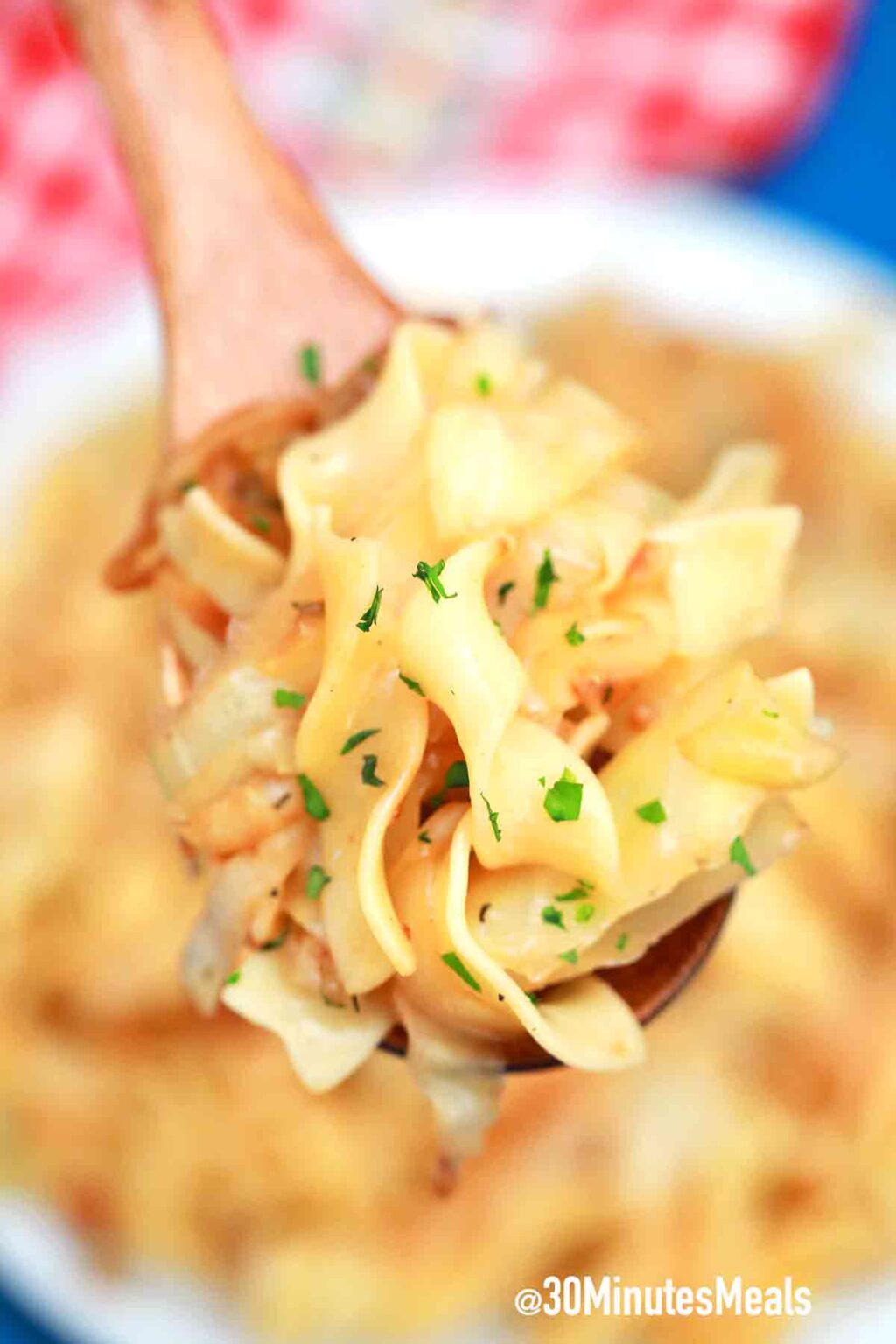 Fried Cabbage and Noodles