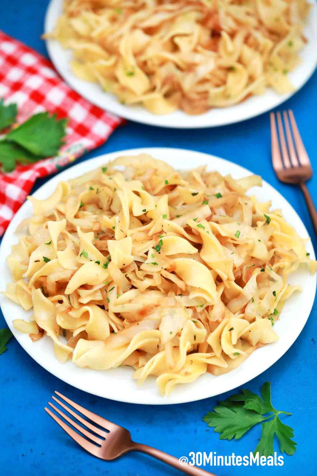 Fried Cabbage and Noodles