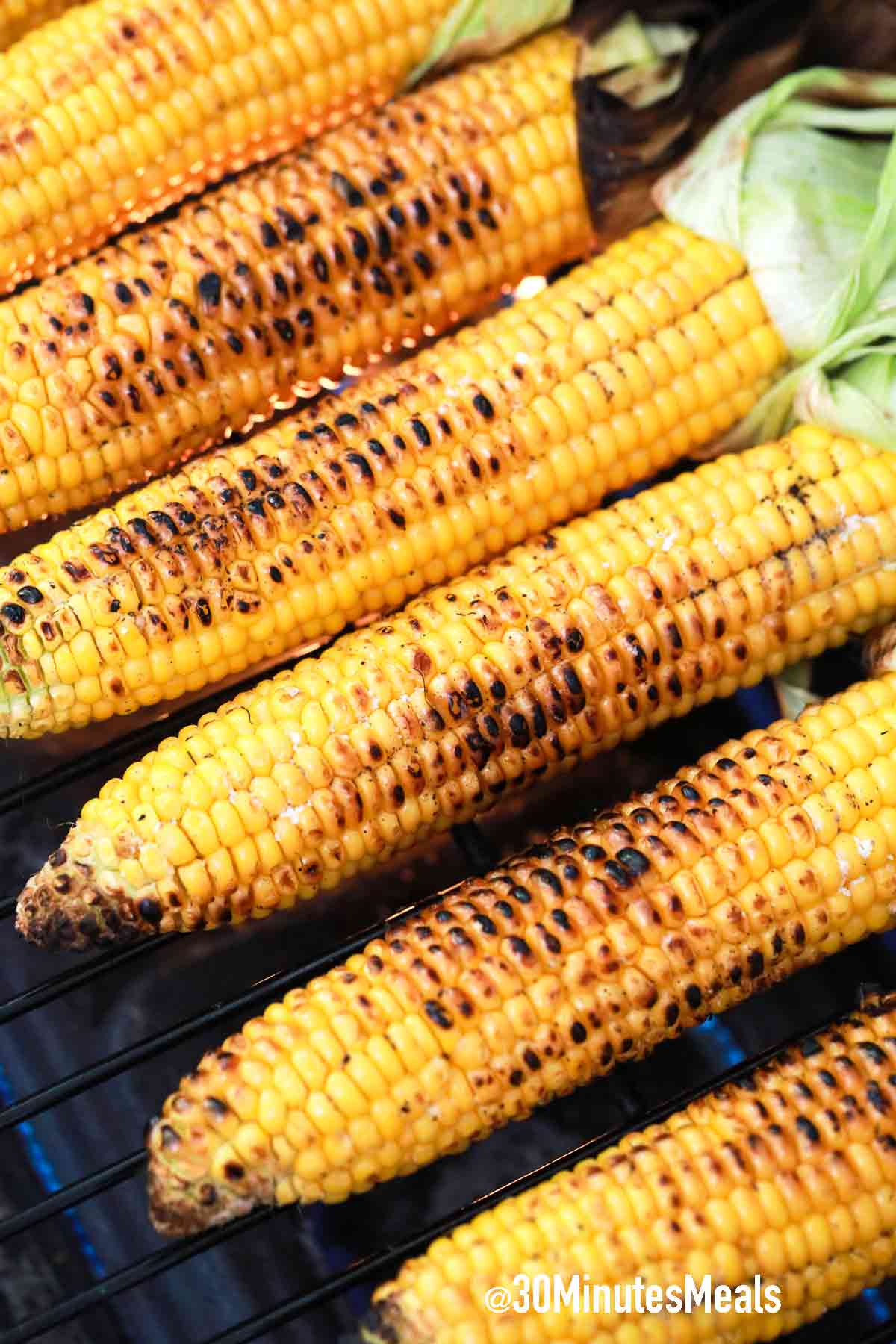 Grilled Corn on the Cob in Foil Recipe - Savory Nothings