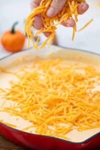 adding cheddar cheese to pumpkin pasta sauce