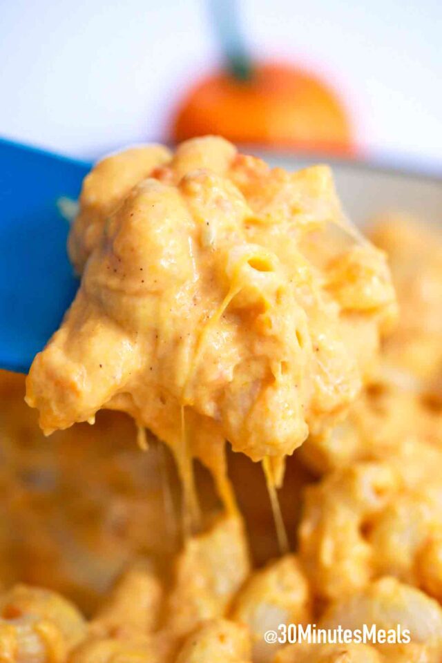 cheese pumpkin macaroni
