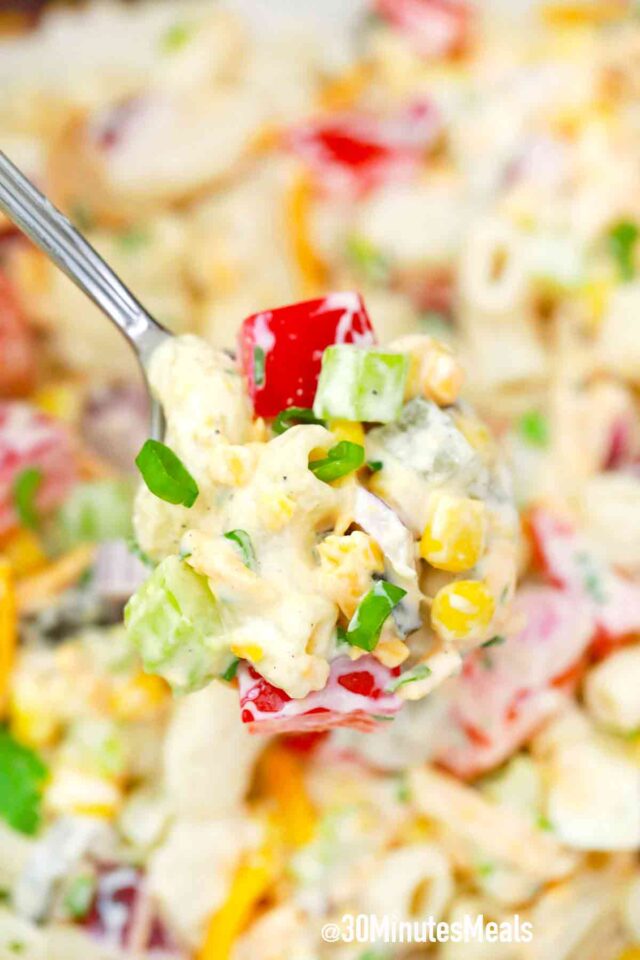 a spoonful of macaroni salad